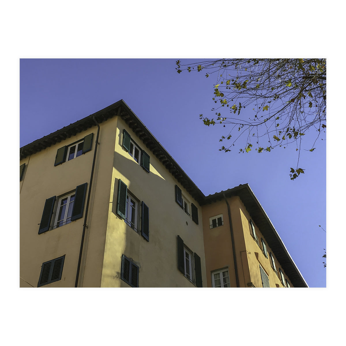 Windows From Tuscany 2 (Print Only)