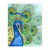 Peacock portrait (Print Only) thumbnail