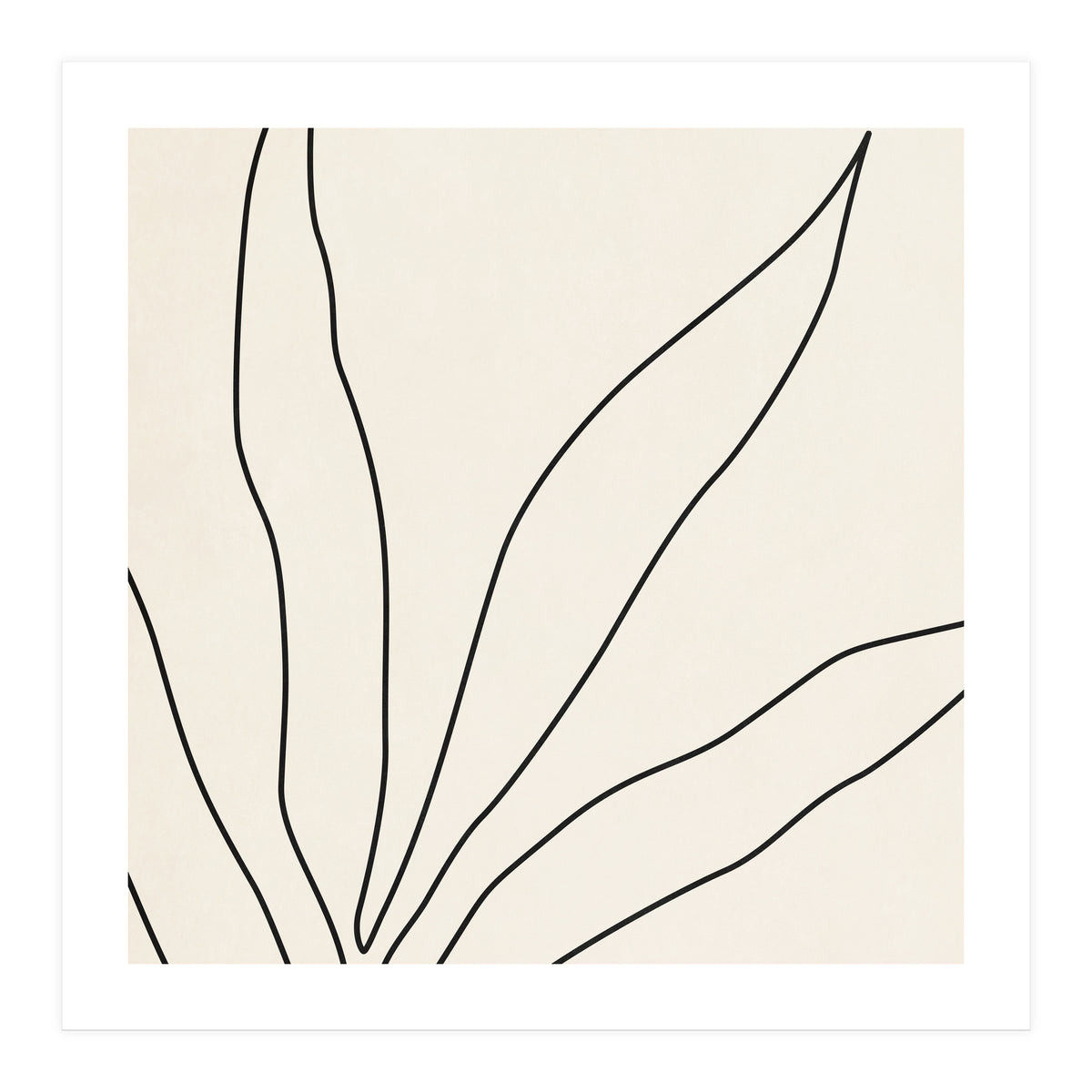 LEAF IN LINE 02 (Print Only)