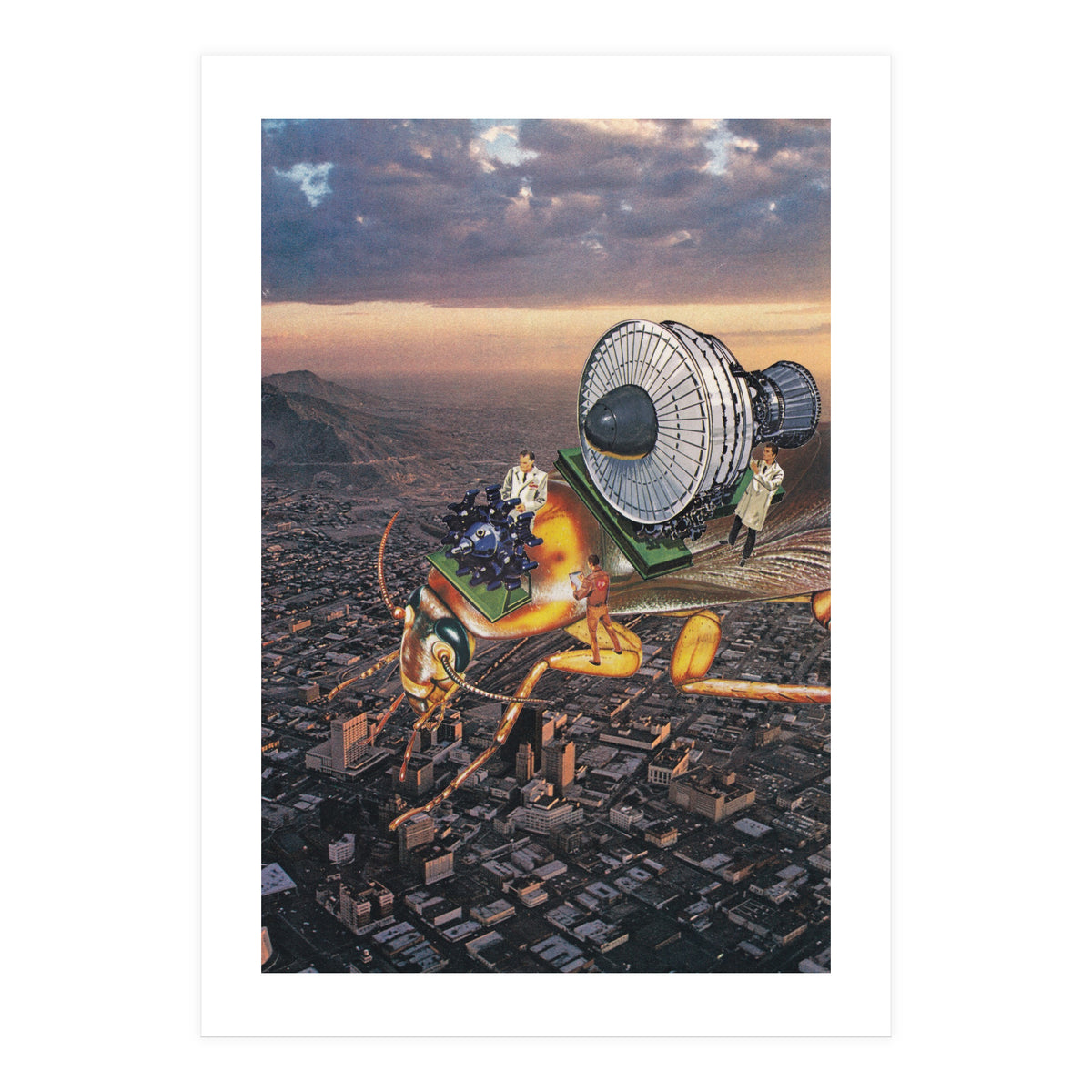 Cockroach Airways (Print Only)