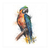 Parrot - Wildlife Collection (Print Only) thumbnail
