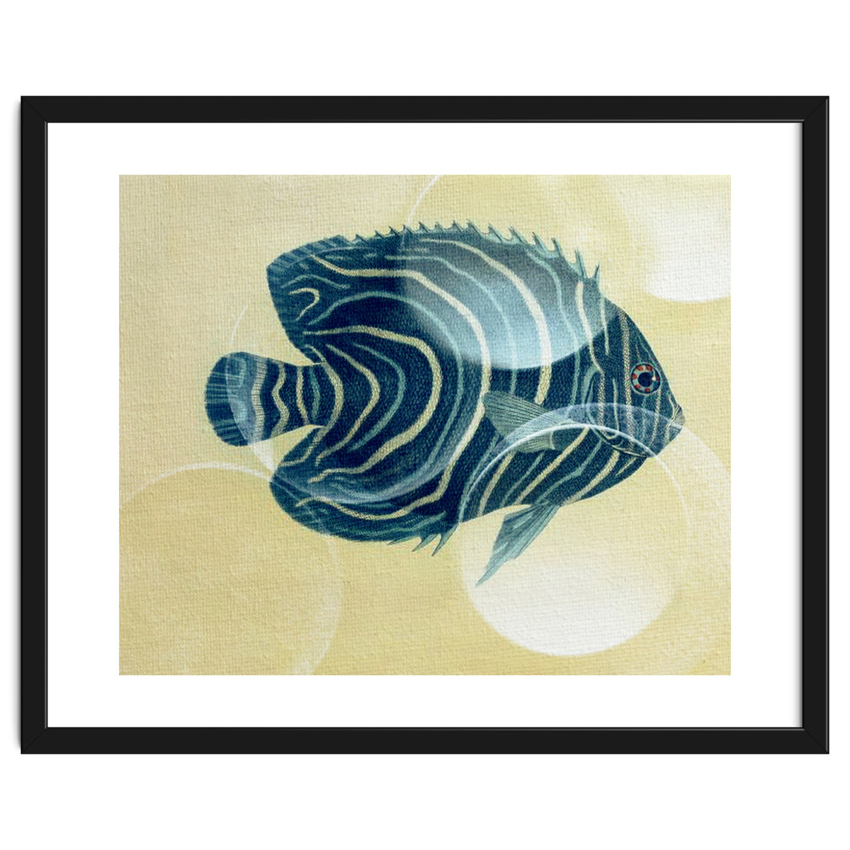 Fish Between Circles