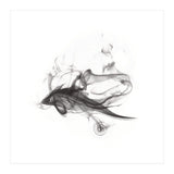 SHARK (Print Only) thumbnail