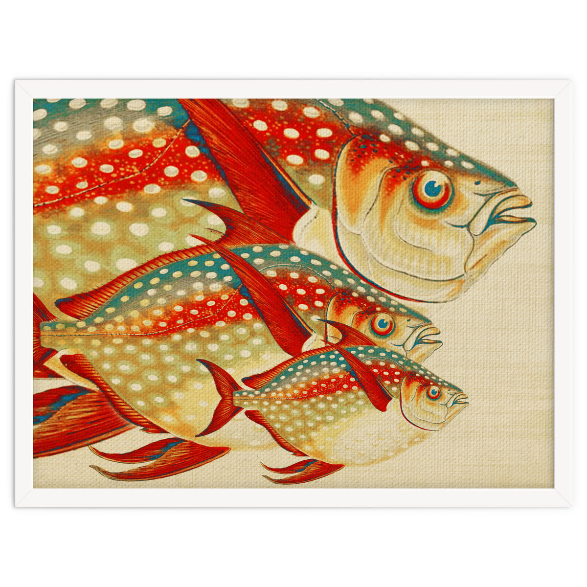 Fish Classic Designs 1