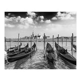 VENICE 10 (Print Only) thumbnail