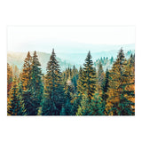 Pine Beauty (Print Only) thumbnail