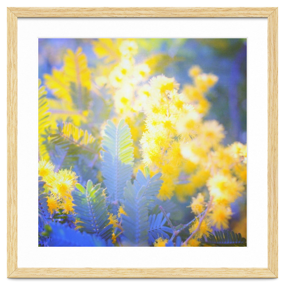 Yellow shiny flowers