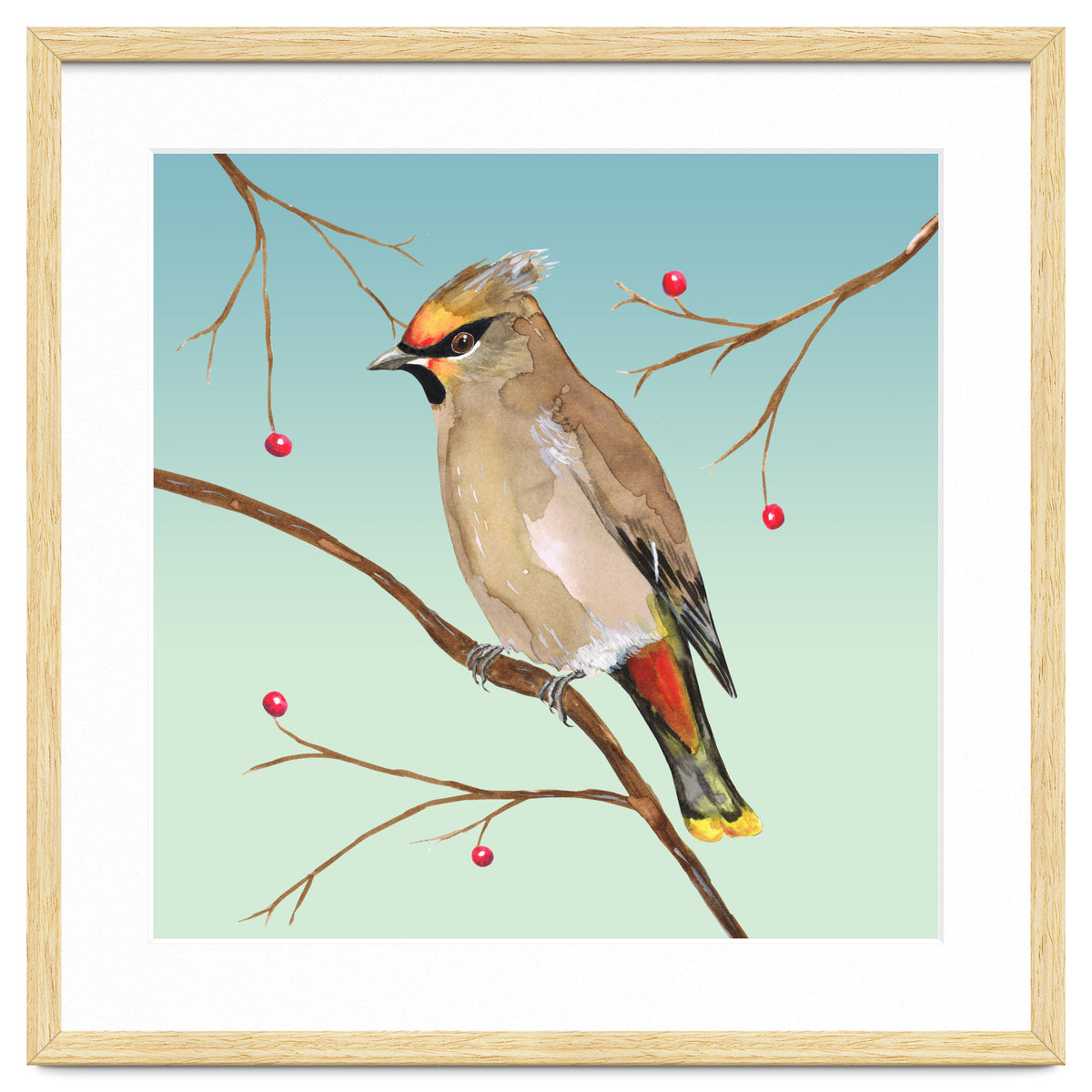 Bohemian waxwing