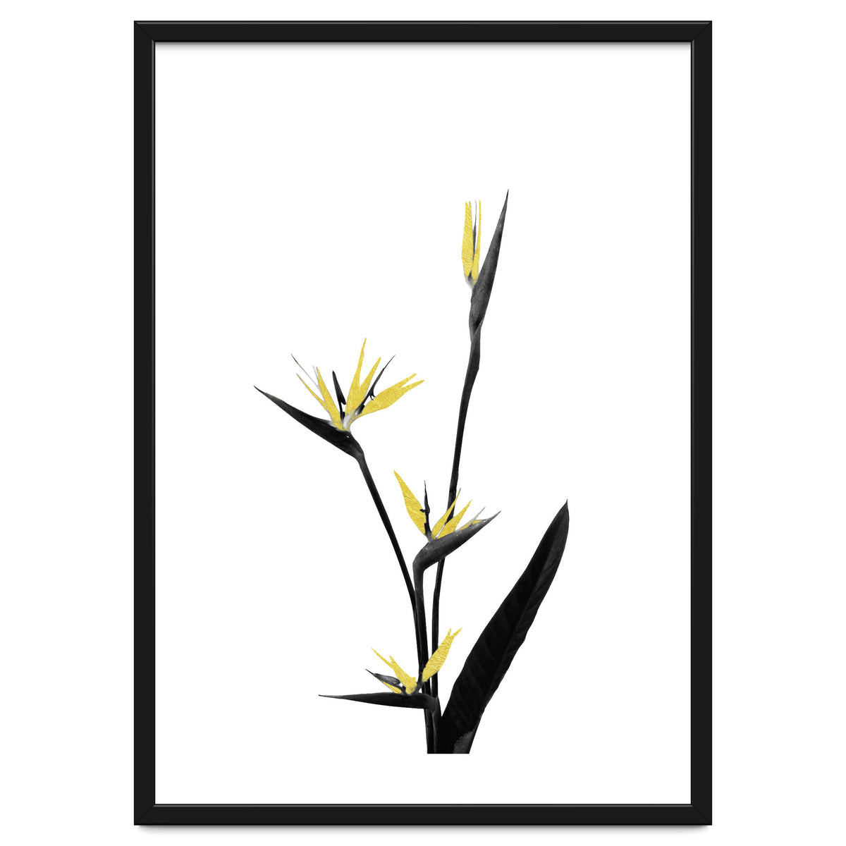 Flower Minimal Black And Gold 05