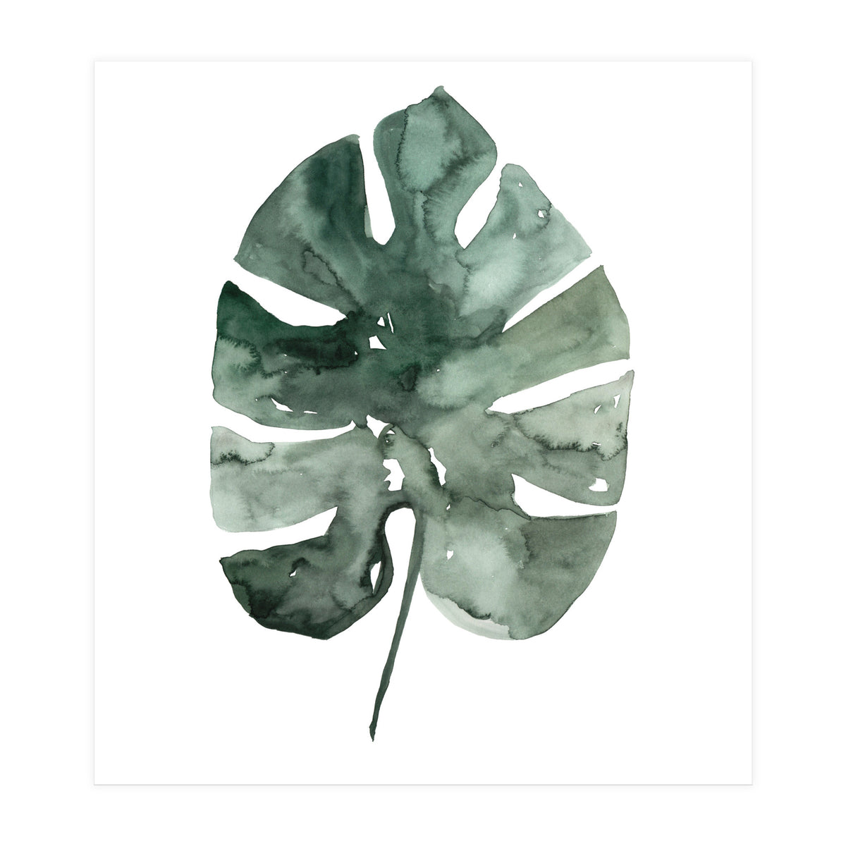 Botanical Illustration Monstera Leaf (Print Only)