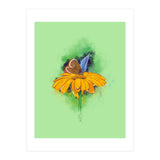 Butterfly 4 (Print Only) thumbnail