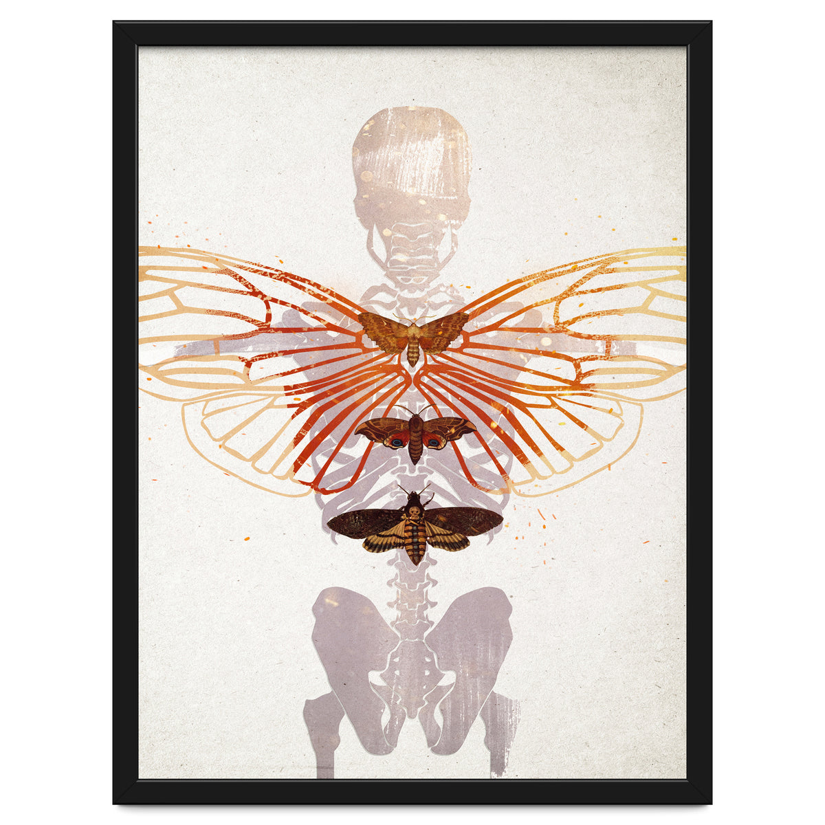 Ikarus - Like a Moth to the Flame