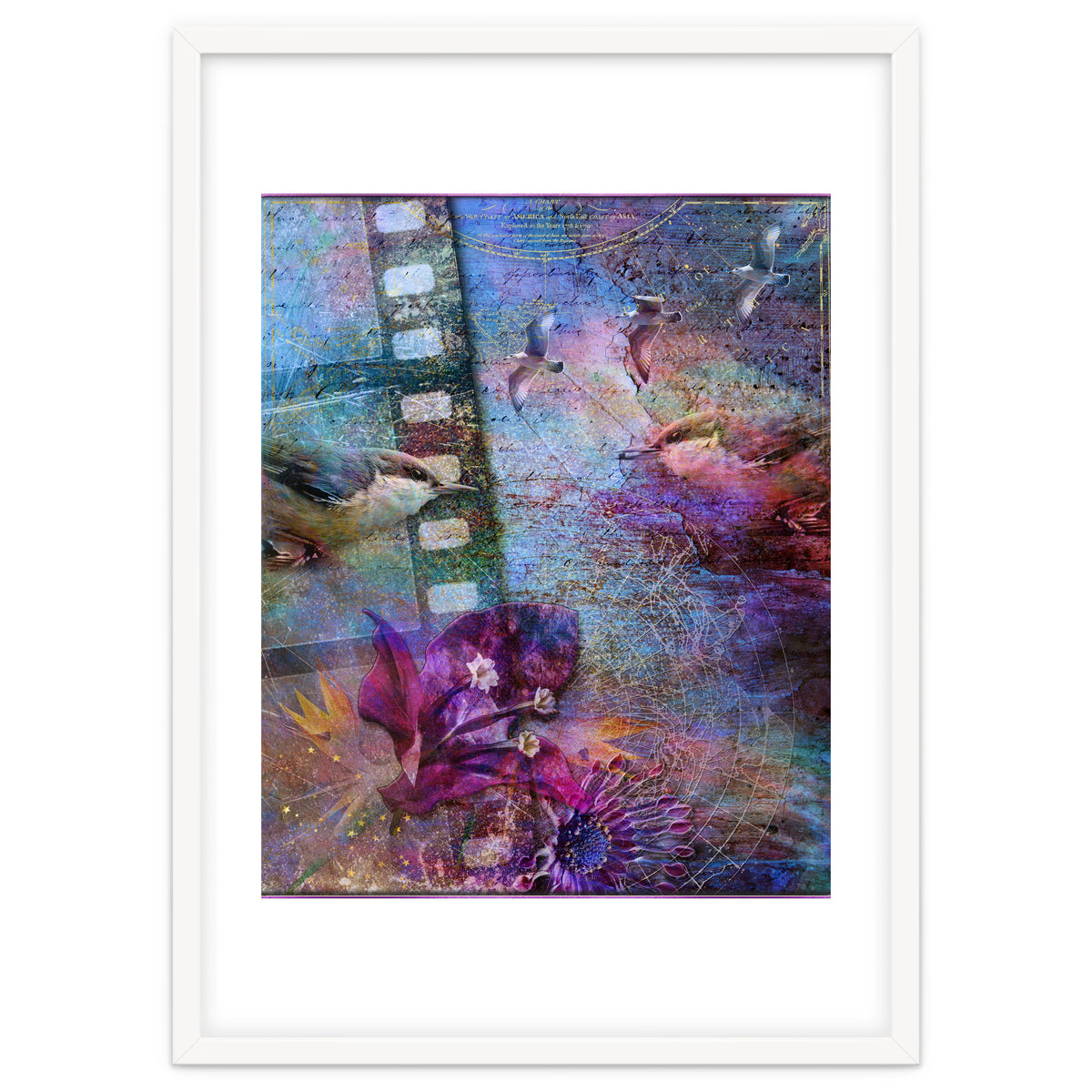 Watching the Wild World