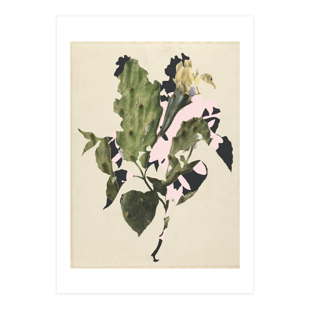 The First Plant · E3 (Print Only)