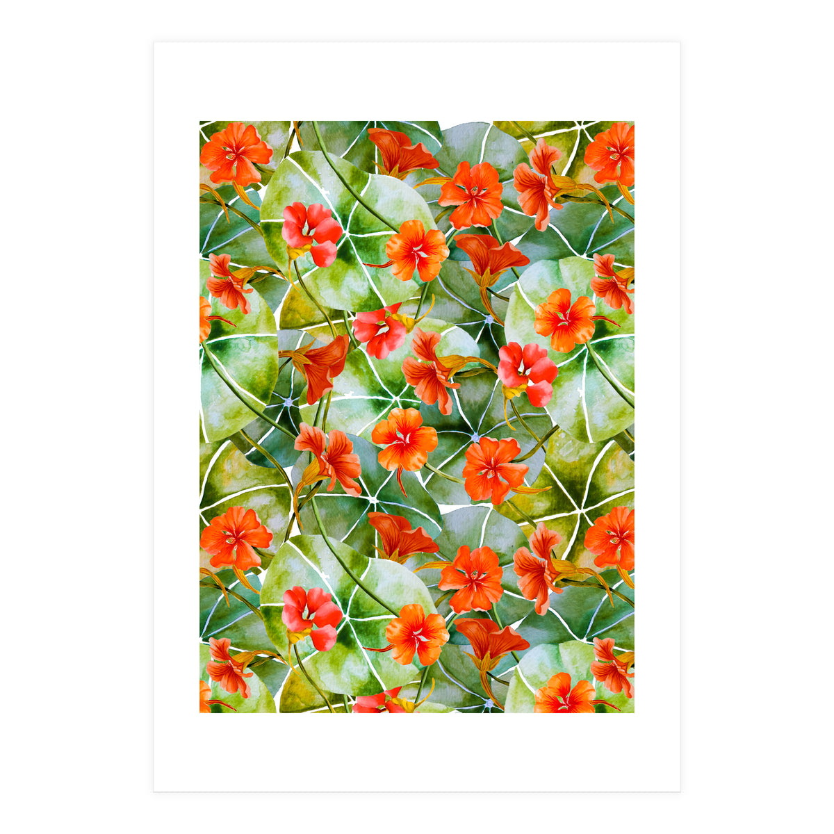 Nasturtiums watercolor 01 (Print Only)