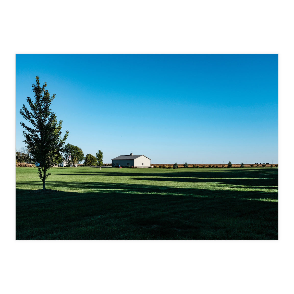 Summer evening, rural Illinois (Print Only)