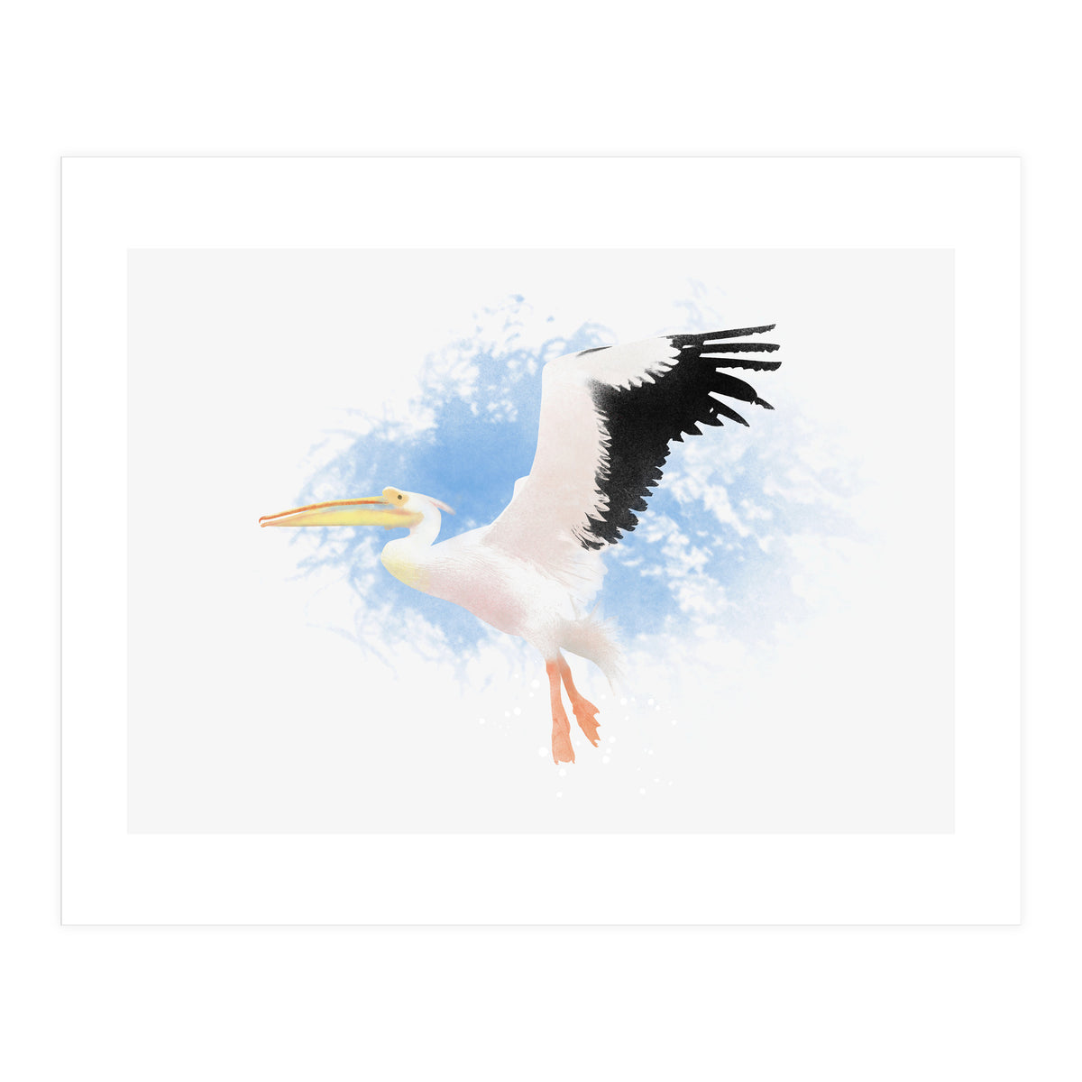 Pelican (Print Only)