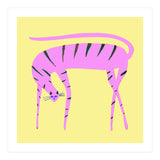 Pink Cat (Print Only) thumbnail
