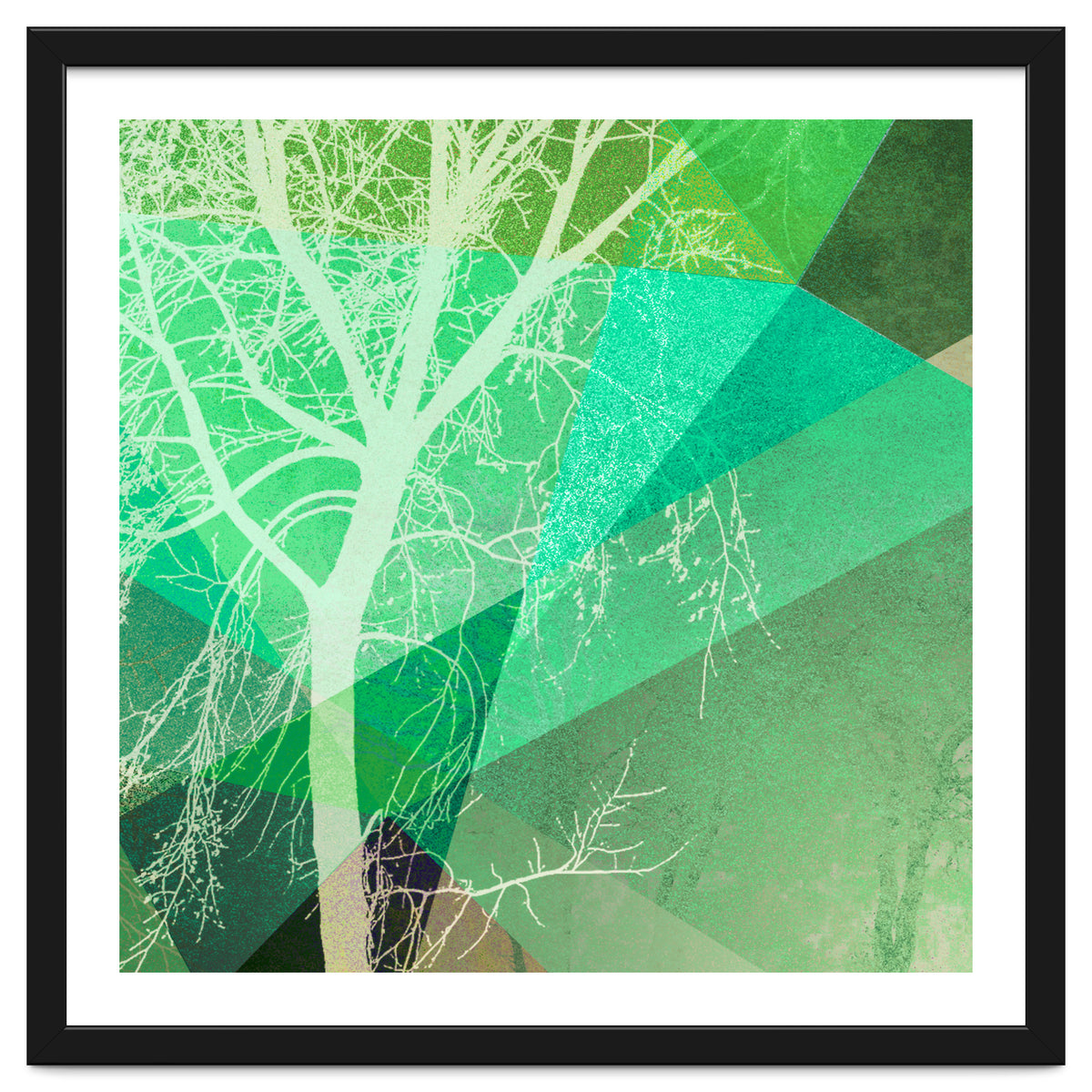 P22-B3 Trees And Triangles