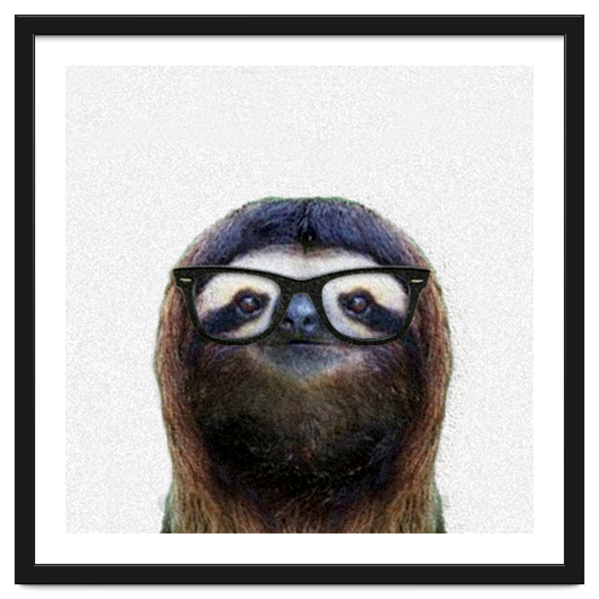 Geek Sloth