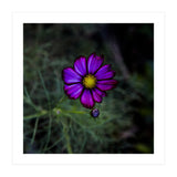 Floral autumn (Print Only) thumbnail