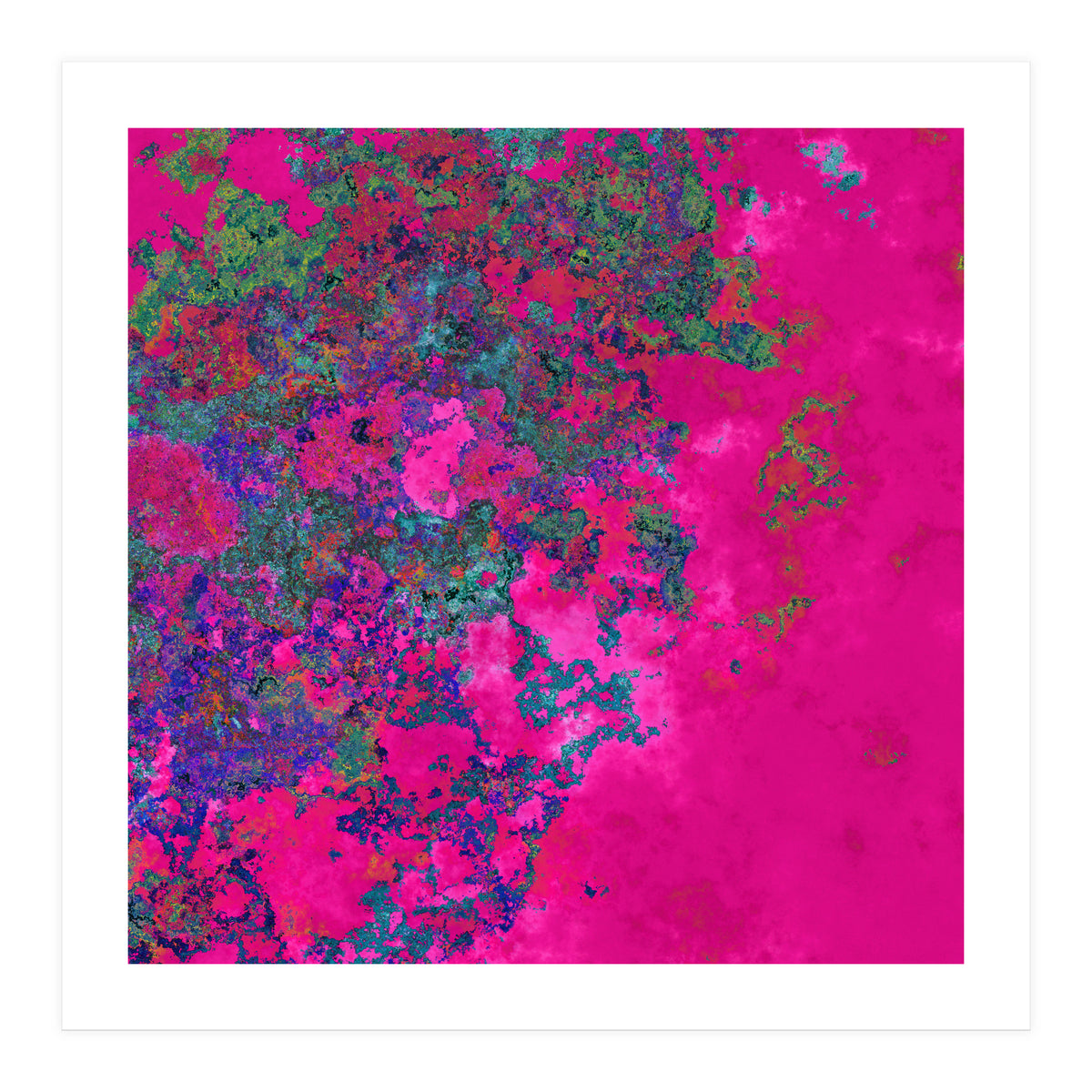 Fuchsia Dream (Print Only)