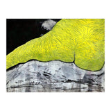 Female Act 23 (Print Only) thumbnail