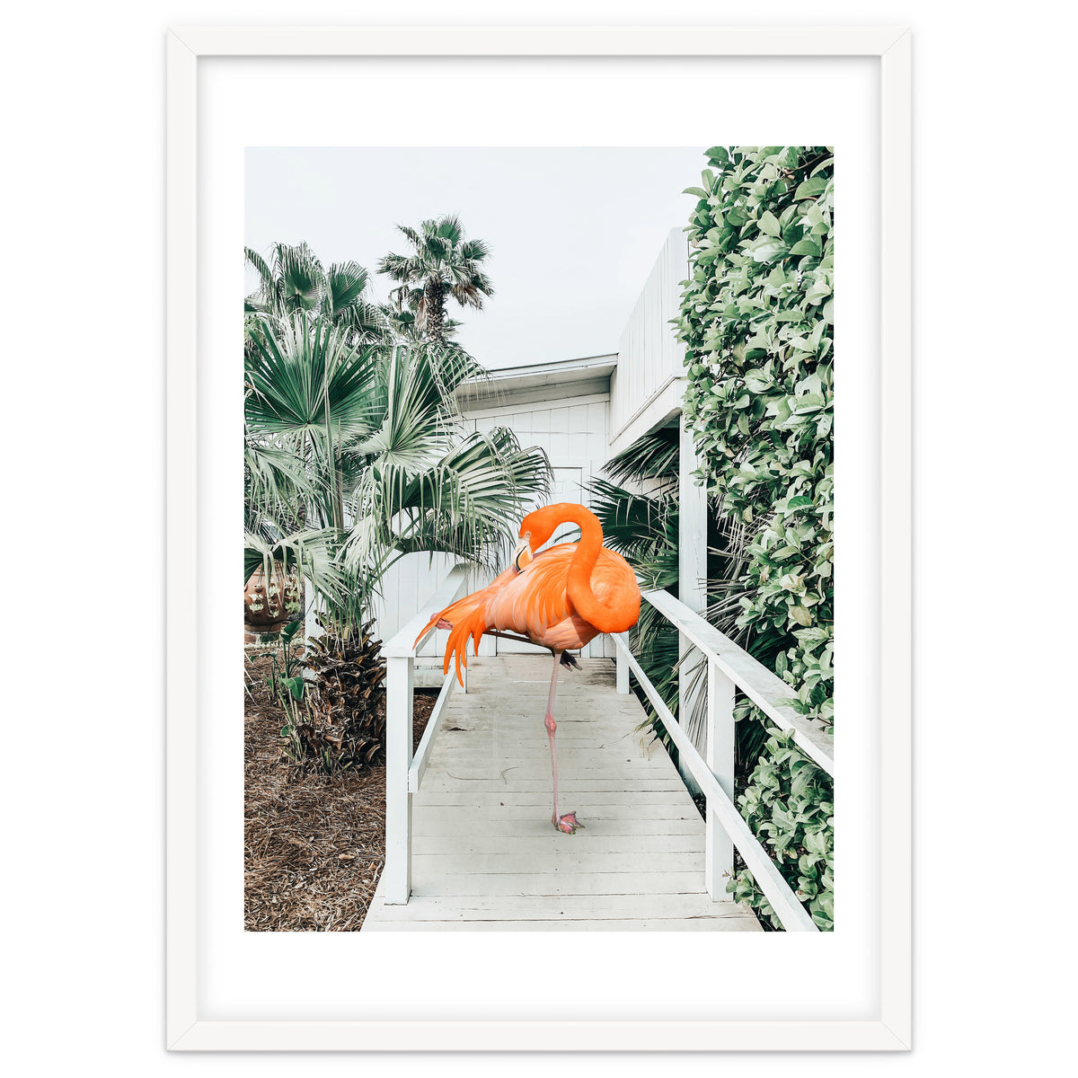 Flamingo Beach House