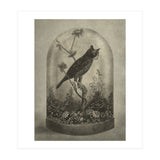 The Curiosity (Print Only) thumbnail