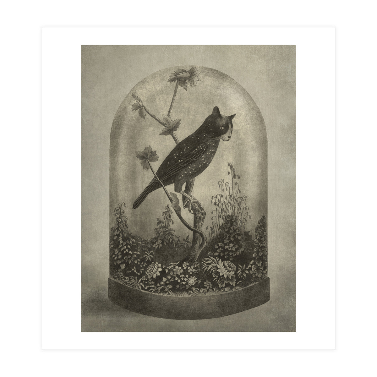 The Curiosity (Print Only)