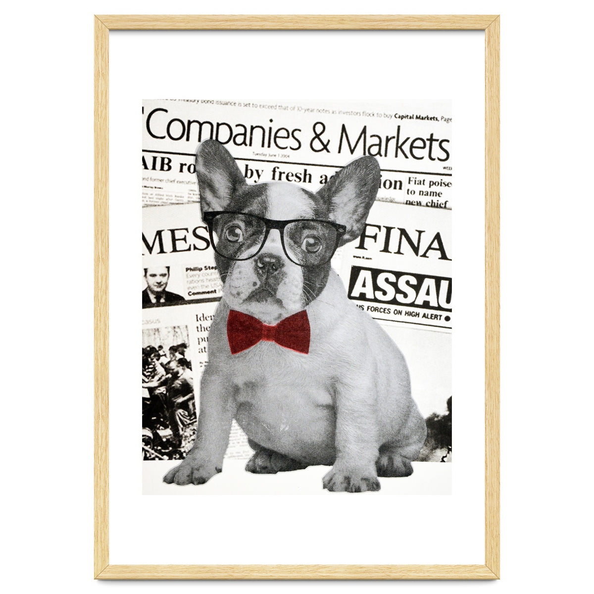 The Dog Of Wall Street