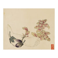 Wang Chengyu ~flowers, Vegetables, Fruits, Eggplant, Lotus Root (Print Only)
