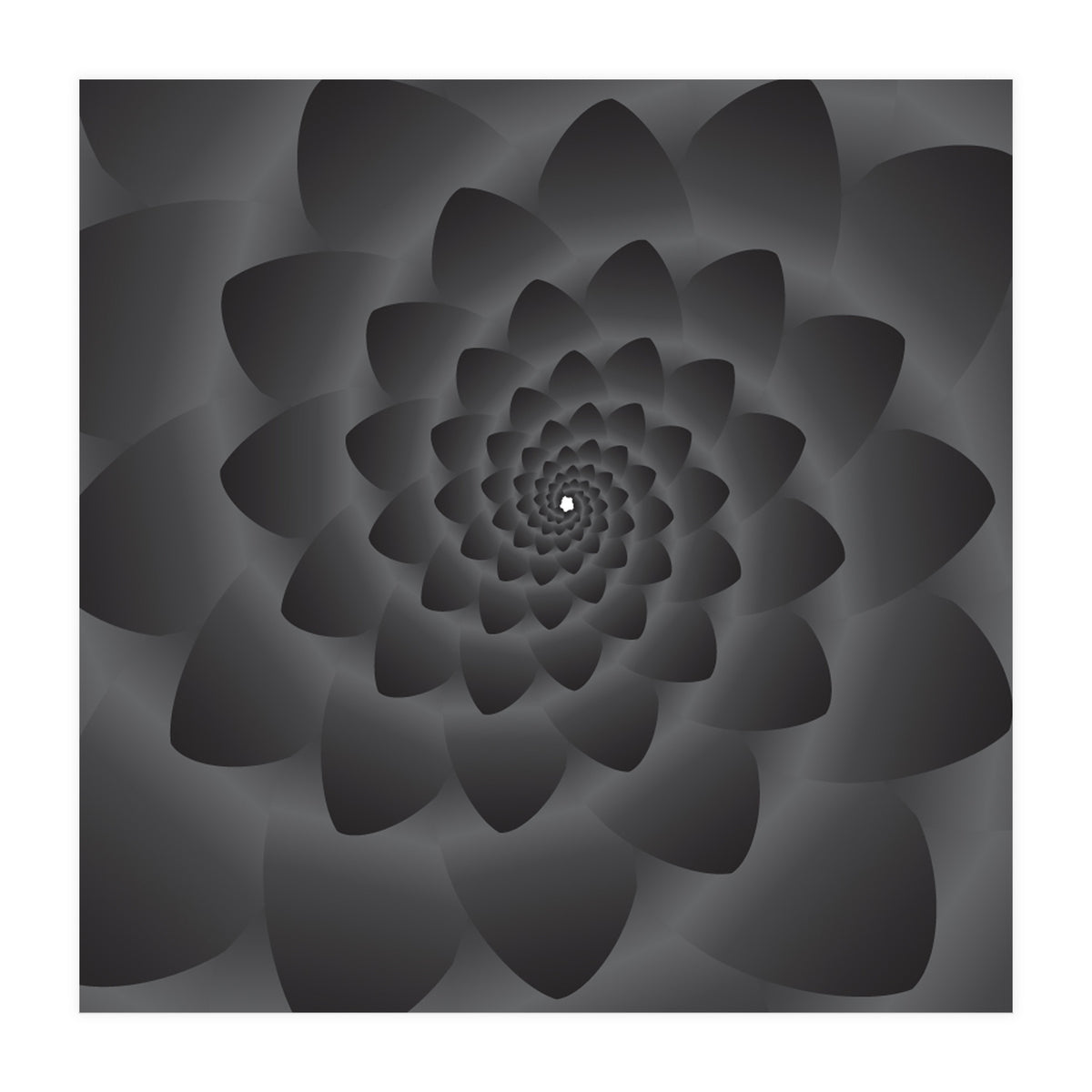 3 D Modern Black Floral (Print Only)