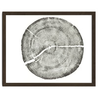 Rock Canyon, Tree Ring Print, Woodblock