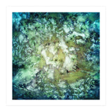 Observation (Print Only) thumbnail