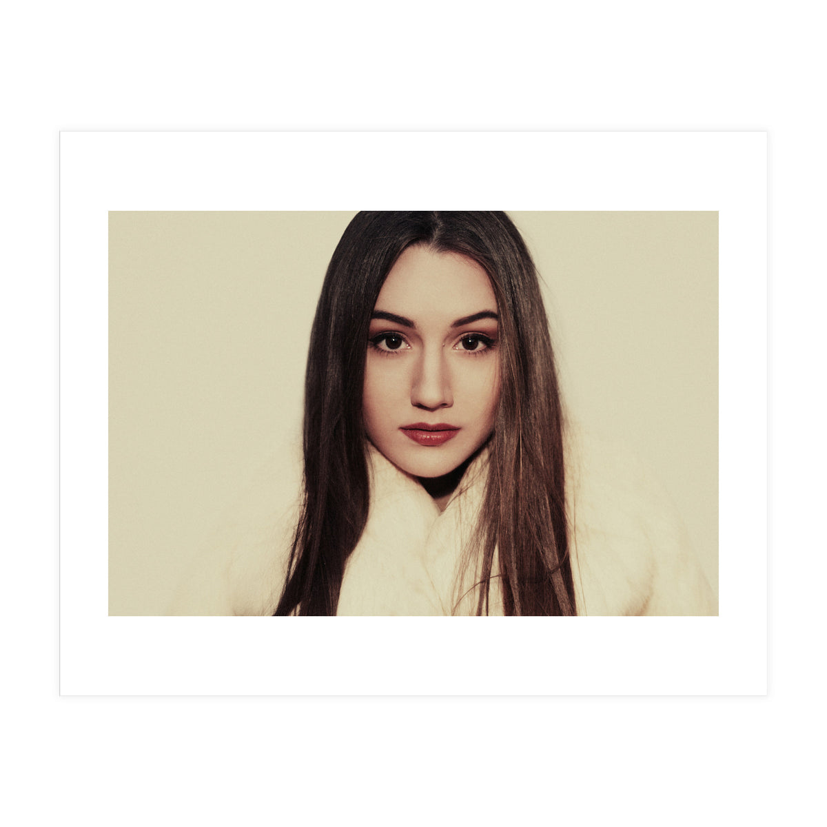 Where do Polar bears Live? (Print Only)