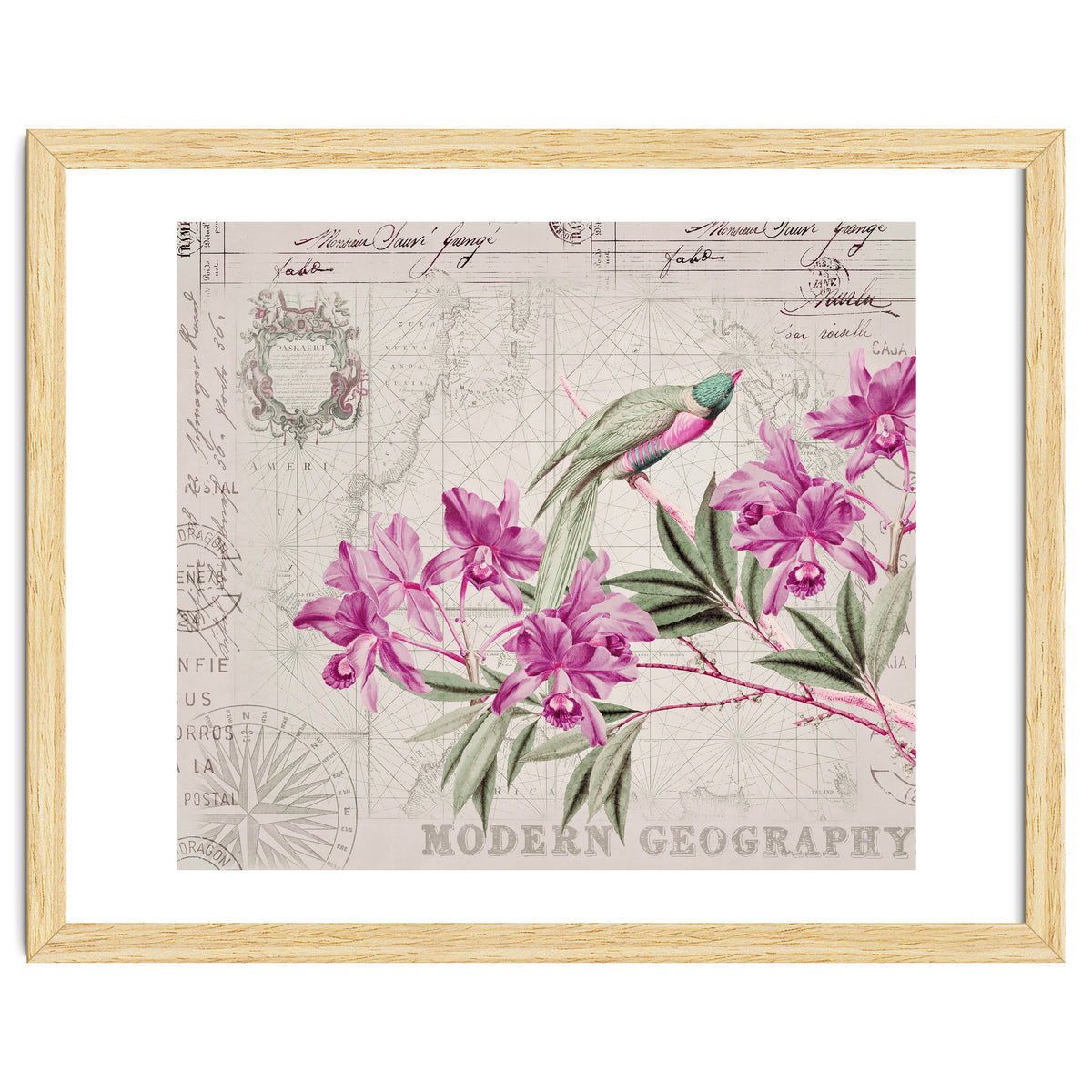 The Birds Voyage Of Discovery