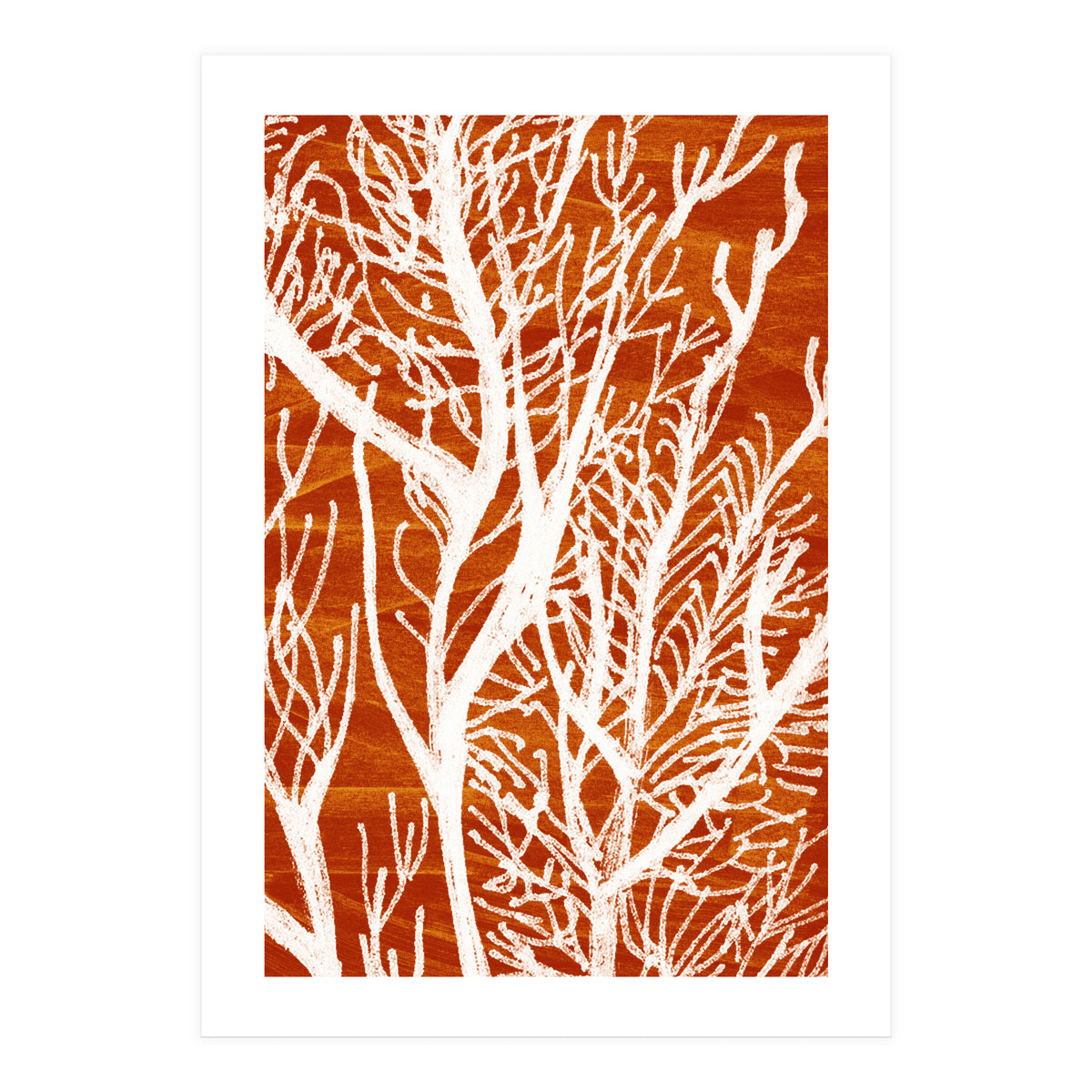 Desert Colours Collection 2 (Print Only)