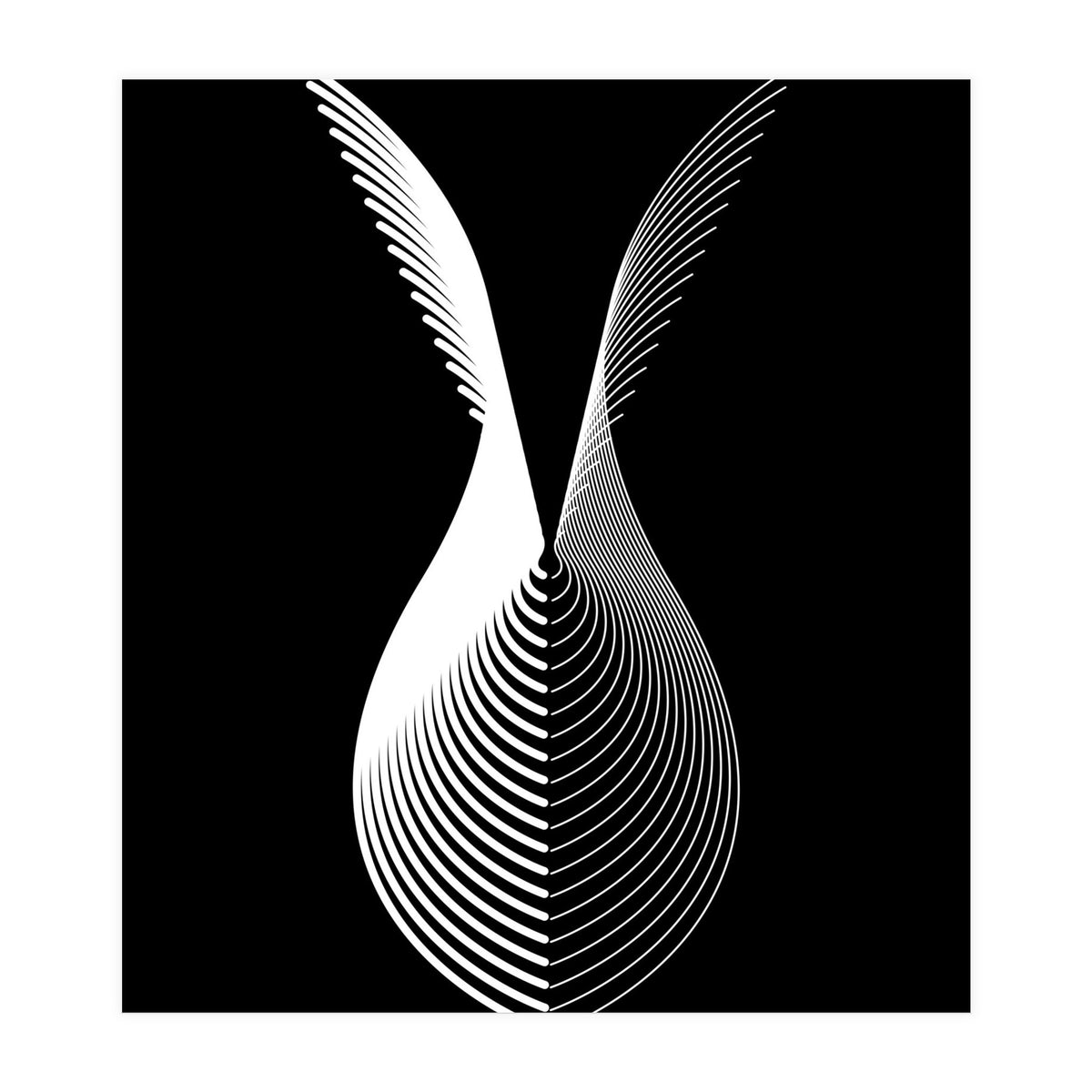 Wings_Black (Print Only)