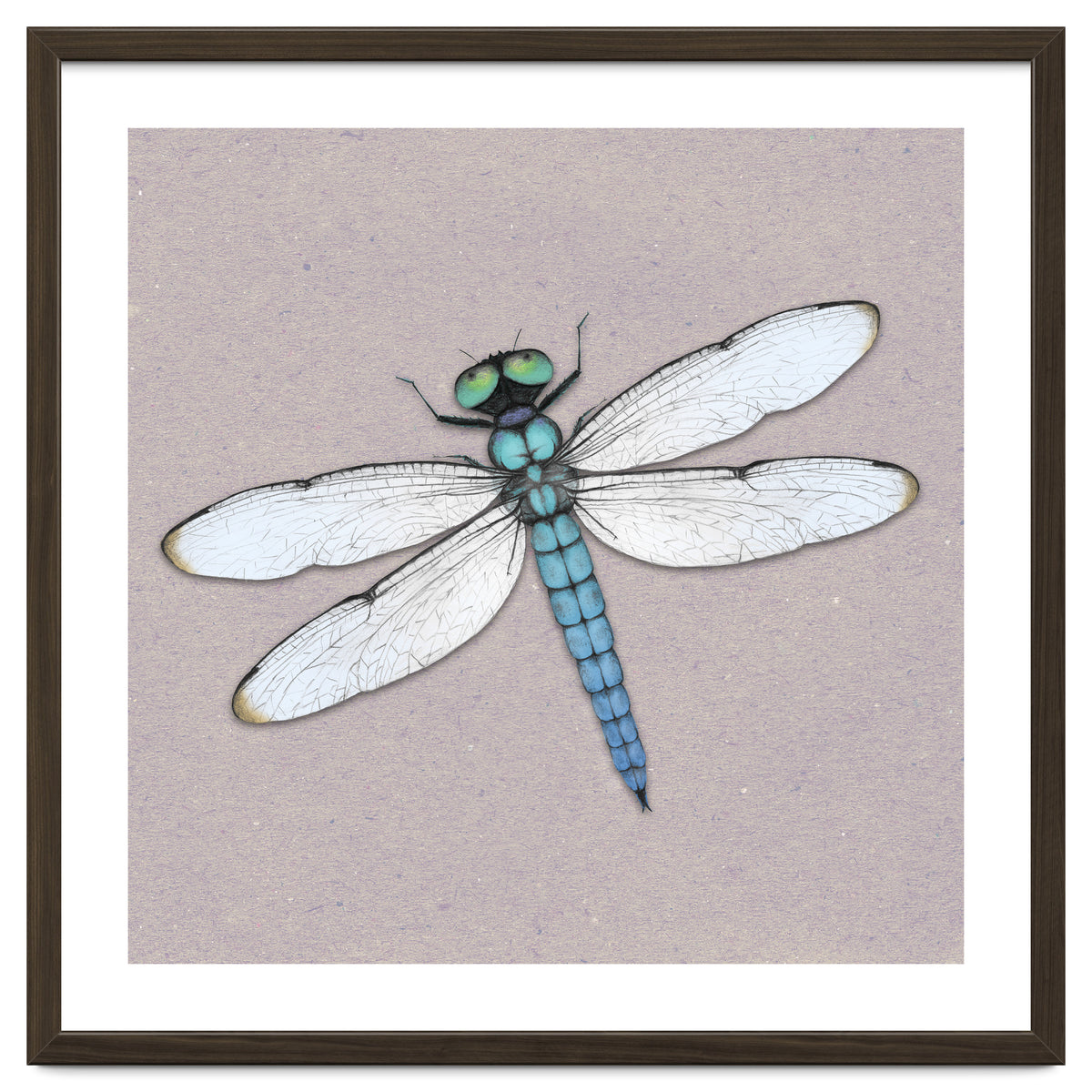 Blue dragonfly