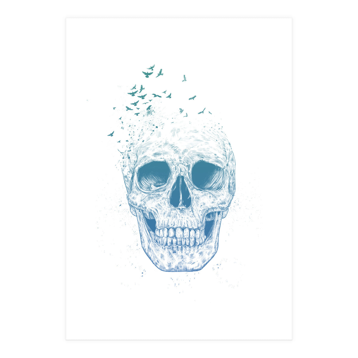 Let Them Fly Ii (Print Only)