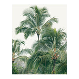 Lush Palm Trees (Print Only) thumbnail