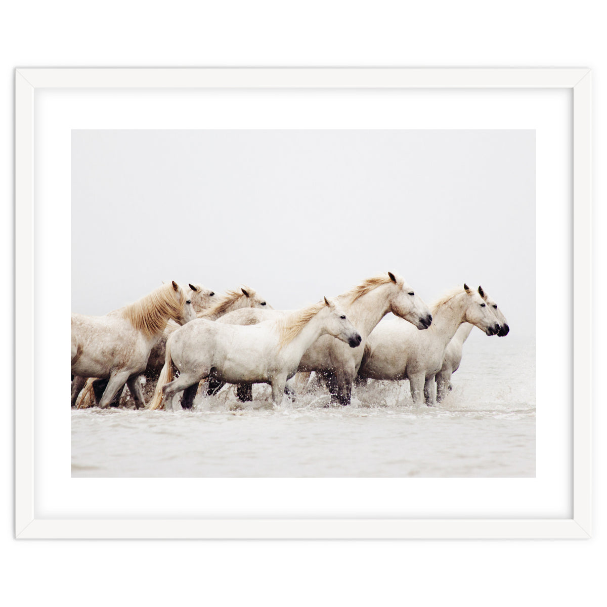 White Horses - Nature Photography