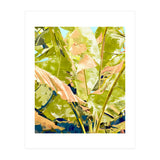 Blush Banana Tree, Tropical Banana Leaves Painting (Print Only) thumbnail