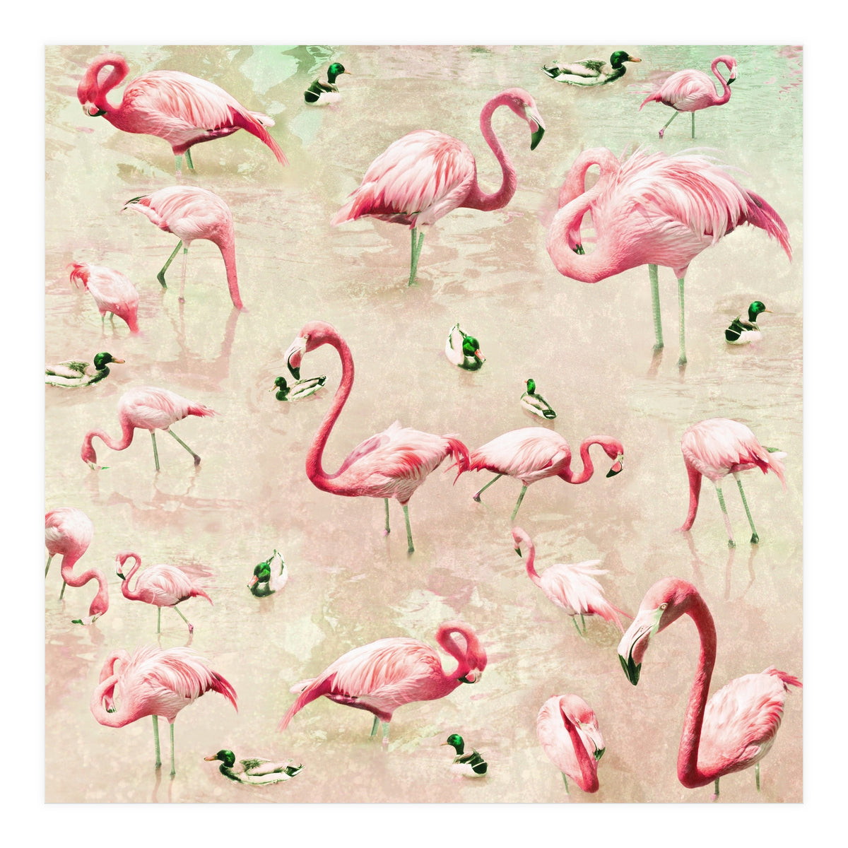 Flamingos Vintage Pink (Print Only)