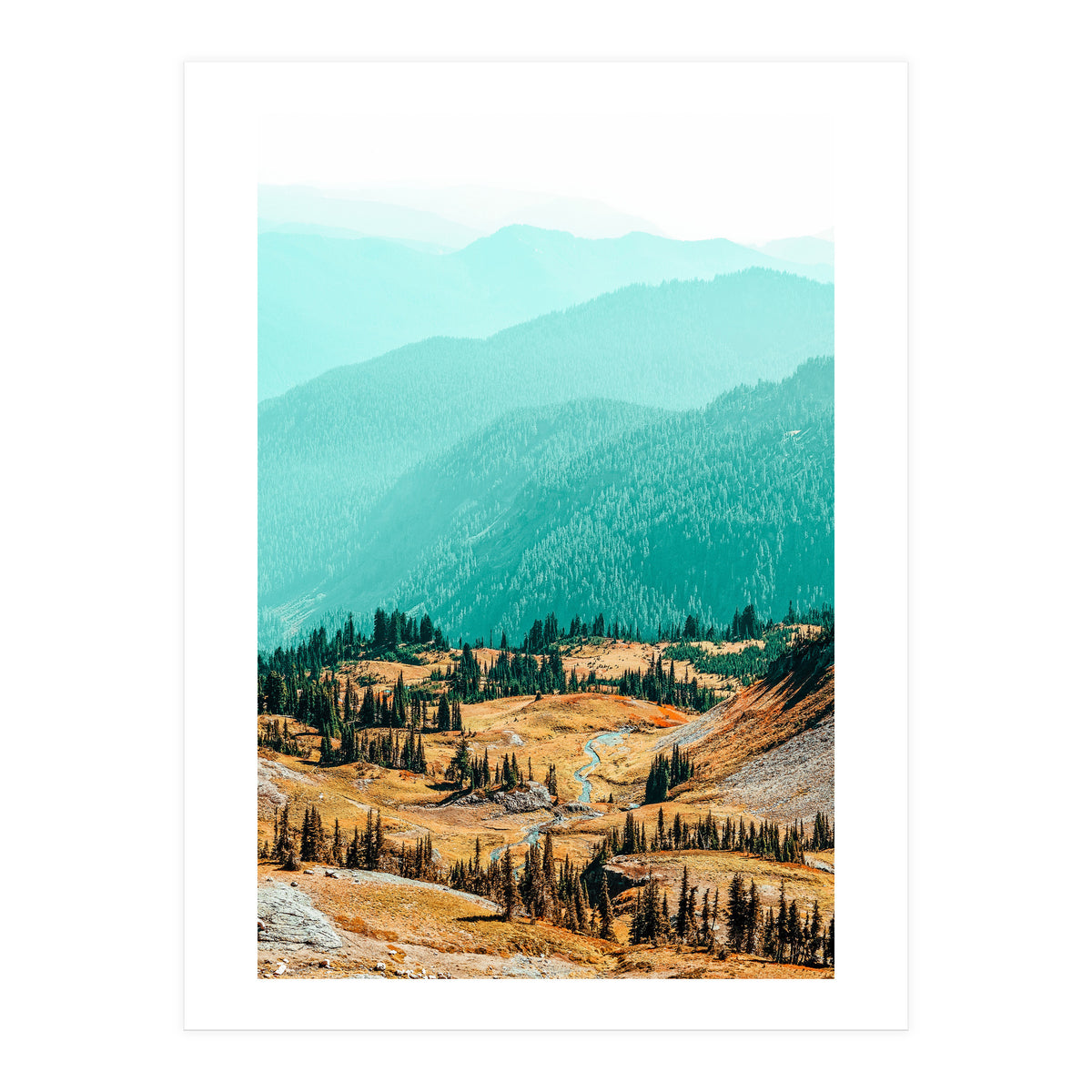 Delight Ii (Print Only)