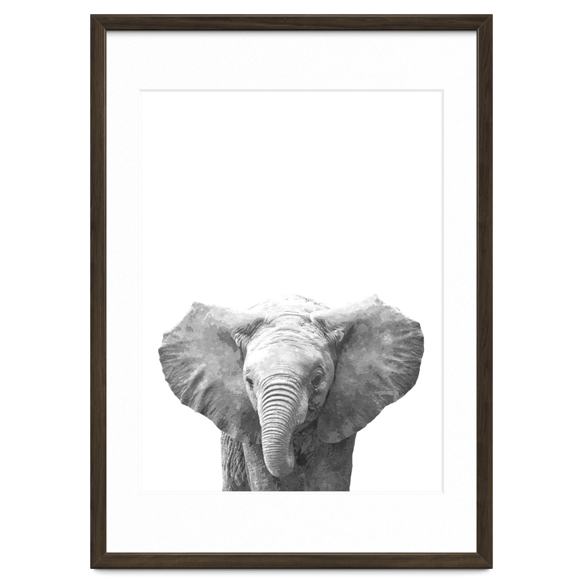 Black and White Baby Elephant