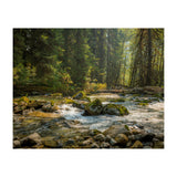 Cascade River (Print Only) thumbnail