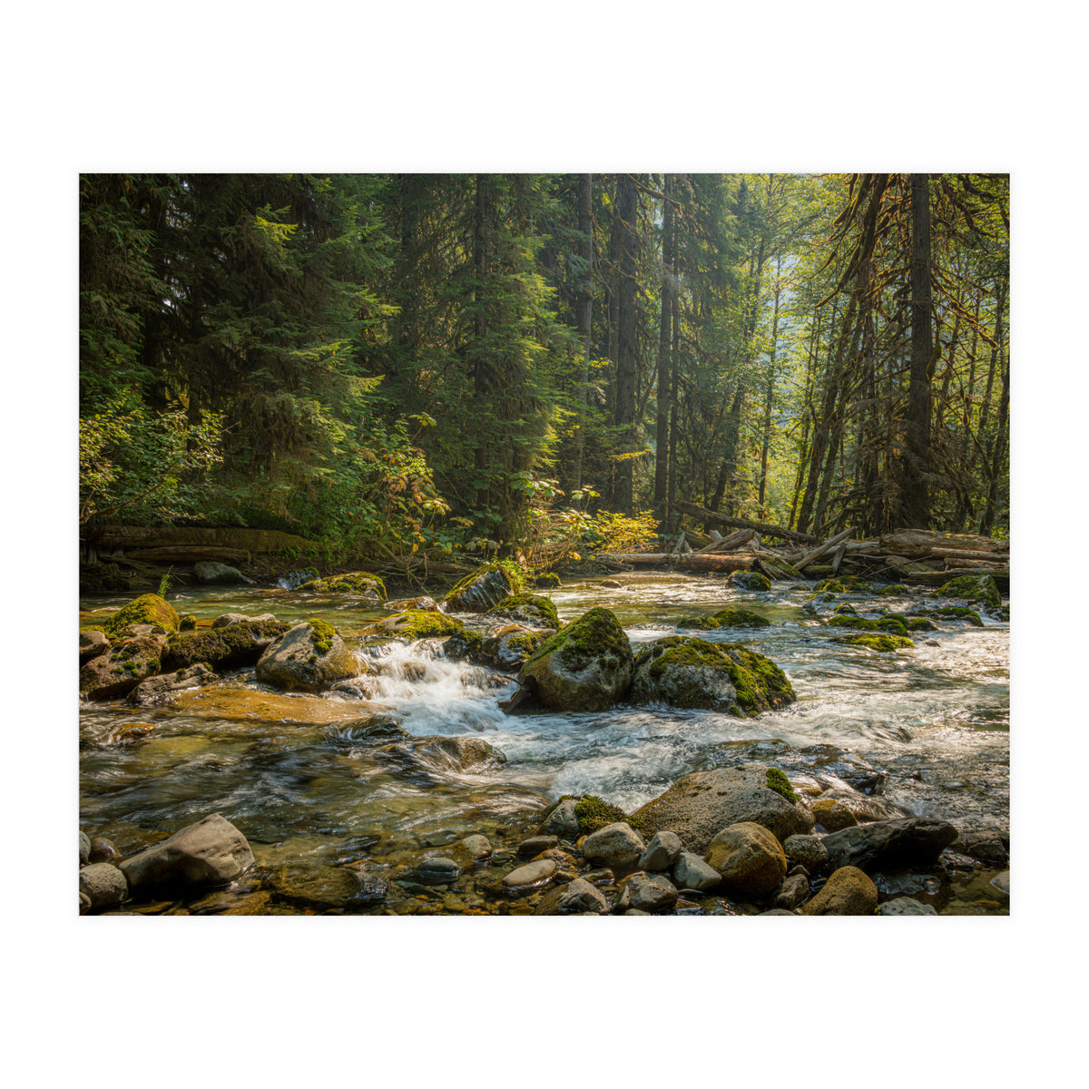 Cascade River (Print Only)
