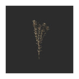 Moody Golden Botanicals - Square (Print Only) thumbnail